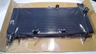 Радіатор охолодження HONDA CB600 Hornet 98-06 528494155 фото