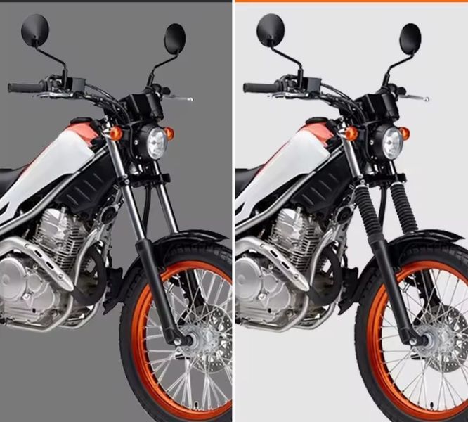 Гофри на вилку Yamaha XG 250 Tricker (Univarsal) 6033420034 фото